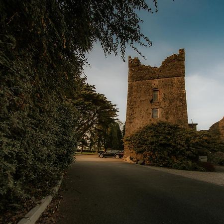 Killiane Castle Country House & Farm Drinagh المظهر الخارجي الصورة