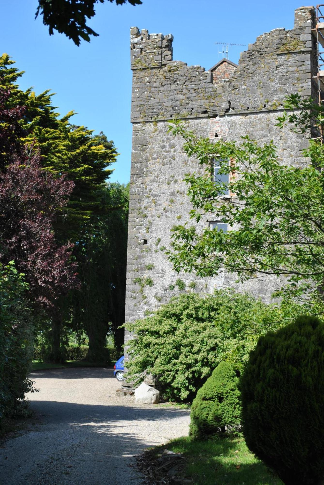 Killiane Castle Country House & Farm Drinagh المظهر الخارجي الصورة