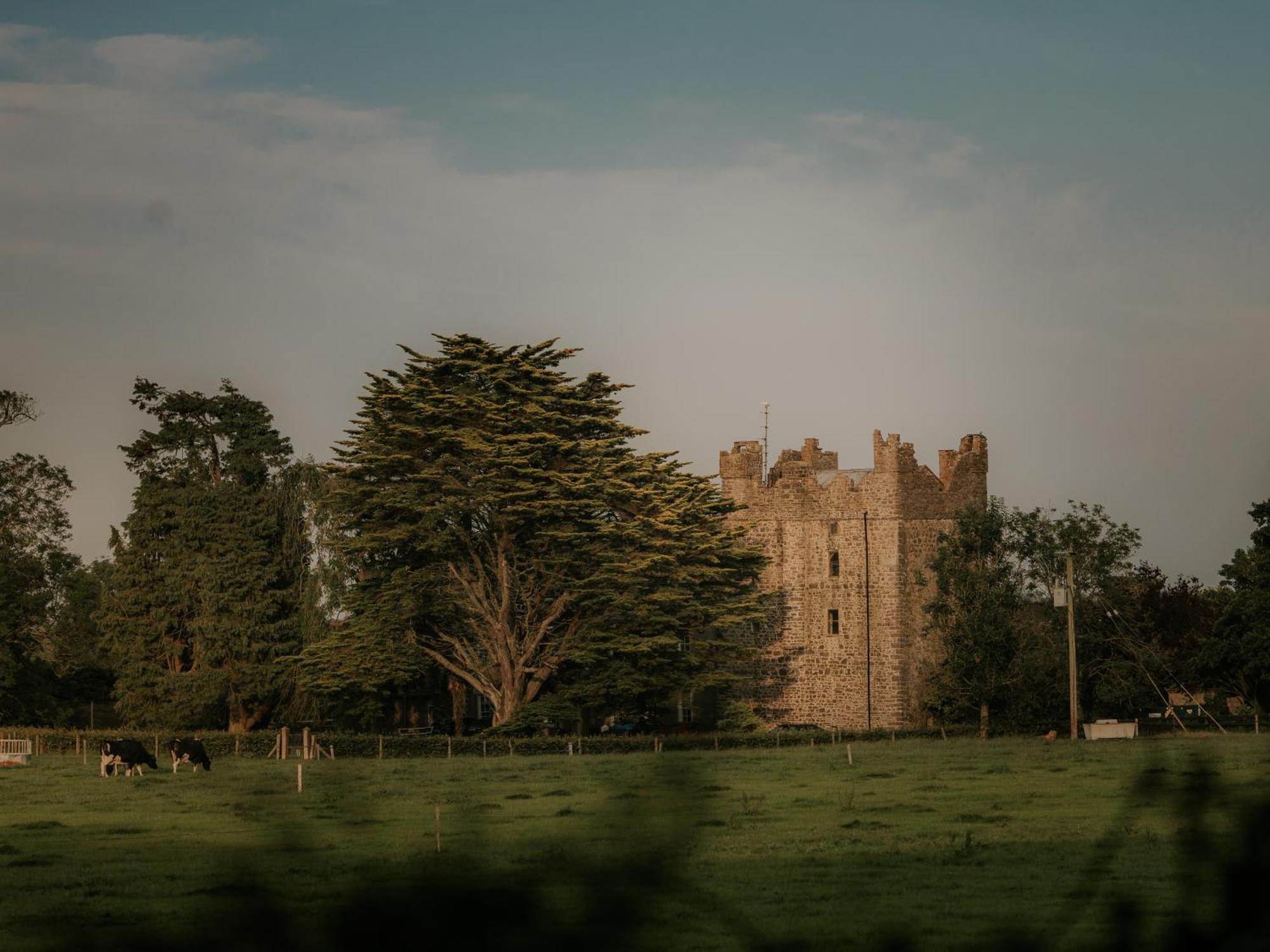 Killiane Castle Country House & Farm Drinagh المظهر الخارجي الصورة